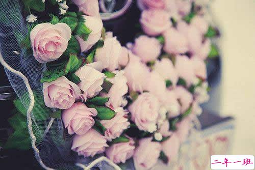 2019春分朋友圈早安祝福语带图片 春分唯美说说简单一句话9