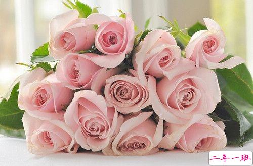 2019春分朋友圈早安祝福语带图片 春分唯美说说简单一句话12