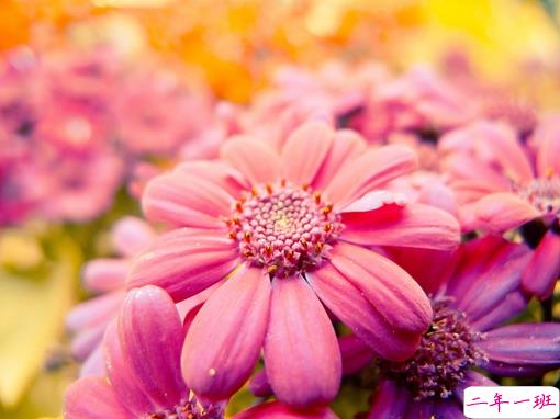 2019春分朋友圈早安祝福语带图片 春分唯美说说简单一句话15