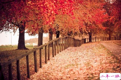 2019最新qq小情话带图片大全 最感动的唯美情话说说2