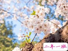 2019春分朋友圈早安祝福语带图片 春分唯美说说简单一句话