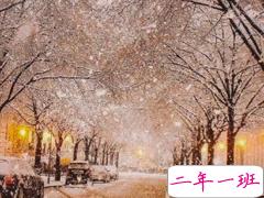 初雪表白文案打动人 适合告白的高级情话句子