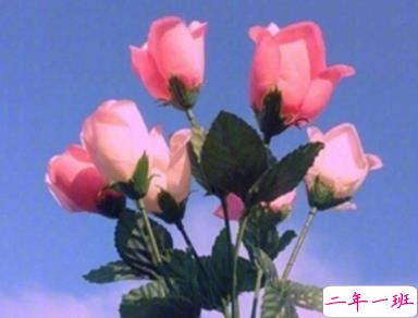 煽情又肉麻的爱情说说句子 最好的誓言是默默陪伴2