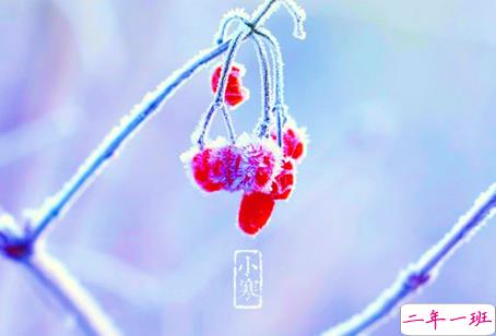 2019小寒节气的说说大全唯美有诗意 小寒节气发朋友圈的说说7