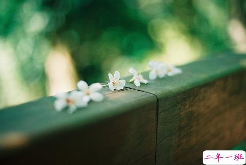 有点小伤感的说说唯美文艺带图片 今天心情不美好的说说很简单9
