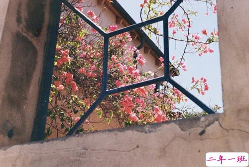 有点小伤感的说说唯美文艺带图片 今天心情不美好的说说很简单10