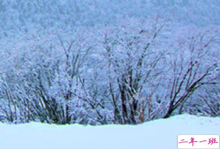 2019小寒节气的说说大全唯美有诗意 小寒节气发朋友圈的说说11