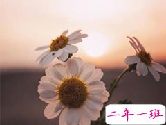 最新恋爱一周年的浪漫语录 恋爱纪念日简单句子