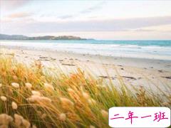 简单文艺爱情小短句2019 我不喜欢这世界我只喜欢你