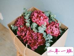 爱情让人心寒的句子大全 看完会感到撕心裂肺