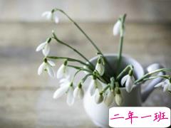 50句最伤感的爱情句子 能让人瞬间哭出来的句子