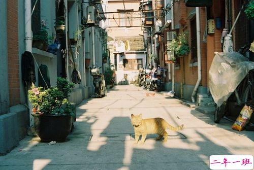对一个人有好感说说句子 静悄悄喜欢一个人的说说低调暖心2