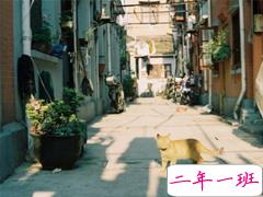 对一个人有好感说说句子 静悄悄喜欢一个人的说说低调暖心