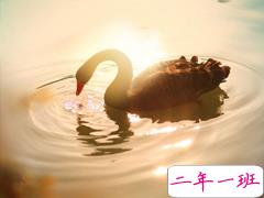 抖音最火晒结婚证的说说 2019领结婚证的朋友圈文艺简短