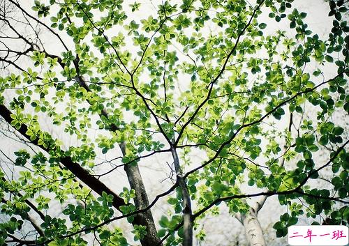 2019微信朋友圈励志晚安心语带图片 早安晚安勿忘心安7