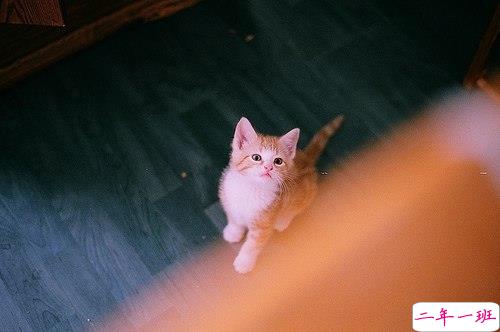 适合发朋友圈的唯美爱情说说带图片 深情有爱意的唯美说说5