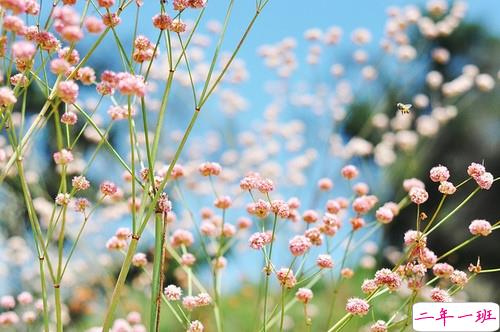 2019微信朋友圈励志晚安心语带图片 早安晚安勿忘心安14