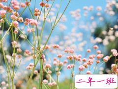 2019微信朋友圈励志晚安心语带图片 早安晚安勿忘心安