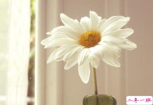 简单点的说说句子心情短语 没有人是好脾气只是你比较重要1