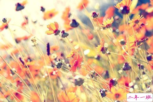 适合女生发的爱情唯美宣言 真实感受到幸福的说说心情短语 14