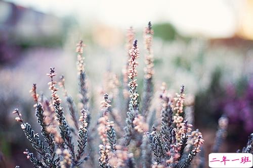 抖音最火爆最肉麻的情话合集 情侣间情话大全听了起鸡皮疙瘩2