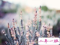 抖音最火爆最肉麻的情话合集 情侣间情话大全听了起鸡皮疙瘩