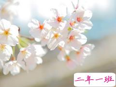 情侣秀恩爱的爱情句子合集 你侬我侬的唯美爱情句子