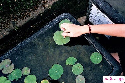 表达爱意的唯美句子配图 肯定能打动你心的唯美说说带图片11