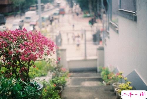 表达爱意的唯美句子配图 肯定能打动你心的唯美说说带图片13