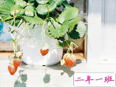 表达爱意的唯美句子配图 肯定能打动你心的唯美说说带图片