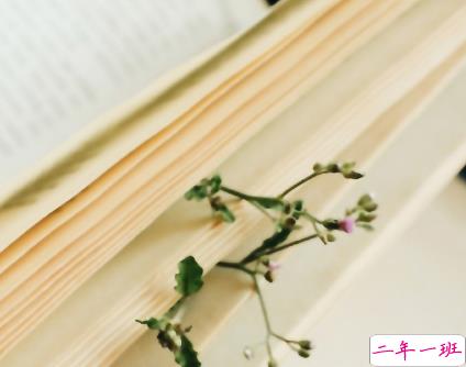 简短的带唯美的说活带图片 简单一句话说说表达心中的情感3