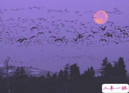 恋爱中很幸福的唯美情话2018精选 很享受爱情的唯美说说5