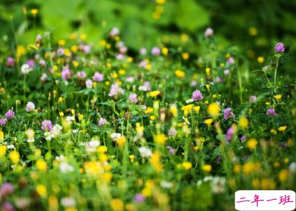 恋爱中很幸福的唯美情话2018精选 很享受爱情的唯美说说6