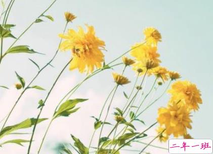 恋爱中很幸福的唯美情话2018精选 很享受爱情的唯美说说11