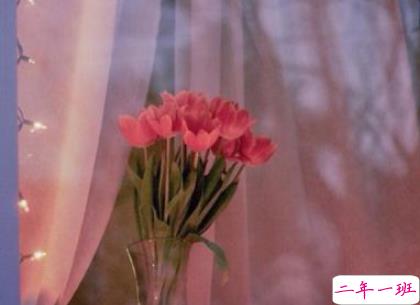 恋爱中很幸福的唯美情话2018精选 很享受爱情的唯美说说13