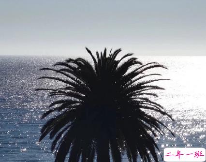 简短的带唯美的说活带图片 简单一句话说说表达心中的情感13