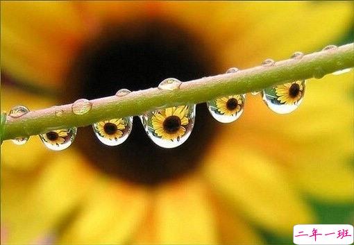 好听的一句话爱情句子2019 伤感的爱情句子一句话简单明了1