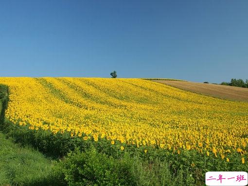 好听的一句话爱情句子2019 伤感的爱情句子一句话简单明了2