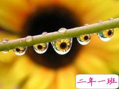 好听的一句话爱情句子2019 伤感的爱情句子一句话简单明了