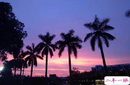 抖音比水还干净的句子带图片精选14条 简单又干净的唯美说说配图6