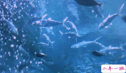 抖音比水还干净的句子带图片精选14条 简单又干净的唯美说说配图12