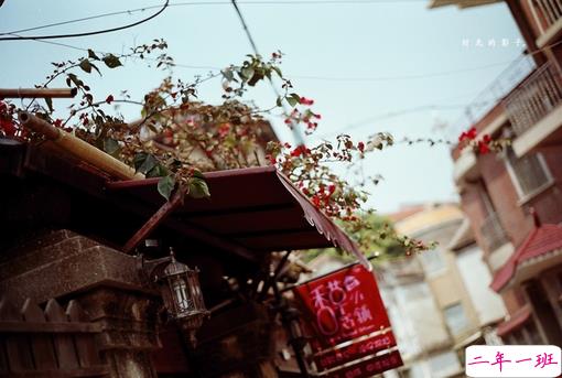 14条很美很好听的文艺唯美说说带图片 森系文艺范古风说说2