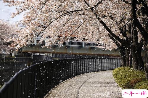 14条很美很好听的文艺唯美说说带图片 森系文艺范古风说说3