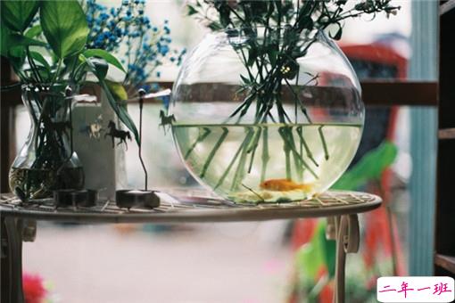 14条很美很好听的文艺唯美说说带图片 森系文艺范古风说说12