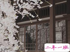 14条很美很好听的文艺唯美说说带图片 森系文艺范古风说说