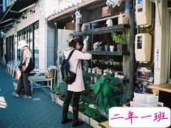 提到爱情的一些随想 关于爱情的精辟句子