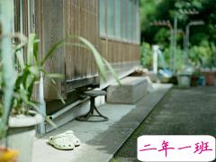 爱情中的甜蜜句子 很甜很少女的爱情情话句子