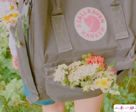 超唯美励志的早安心语哲理说说带图片11