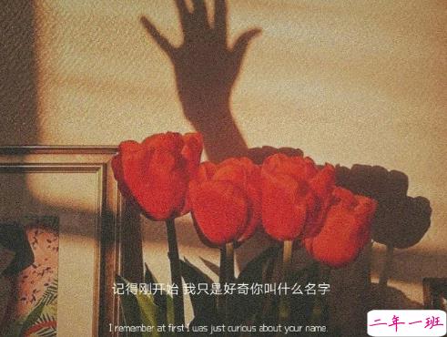 30条超级可爱的表白恋爱小句子 浪漫至极表白必备的文案1