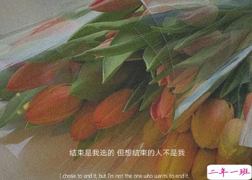 30条超级可爱的表白恋爱小句子 浪漫至极表白必备的文案2